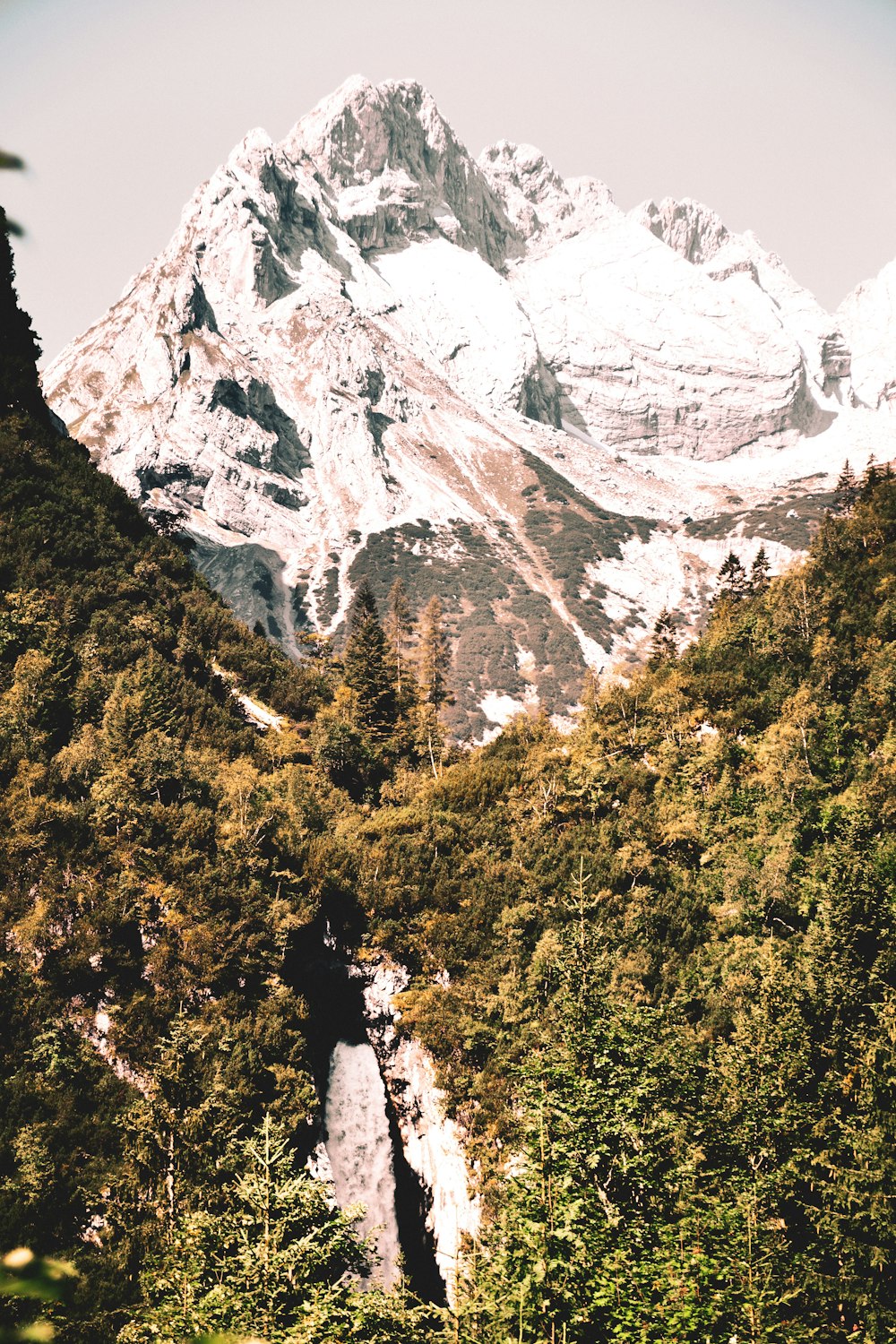 landscape photography of mountains and trees