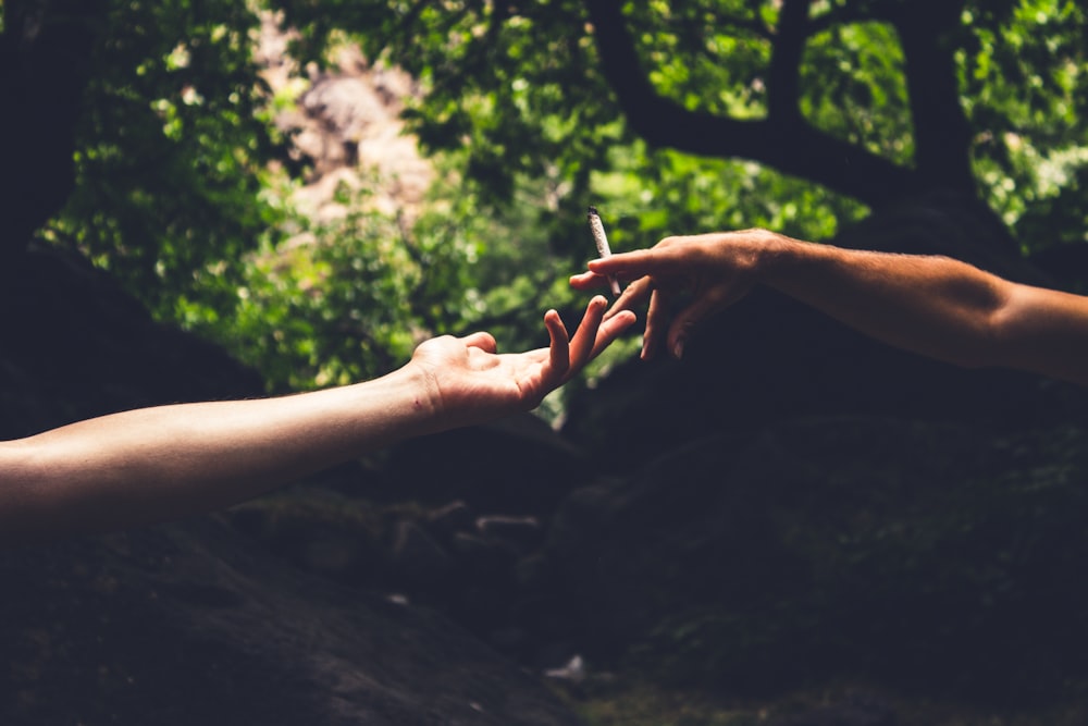 two person reaching each others hand