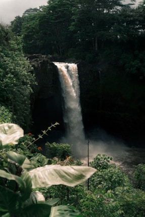 A powerful waterfall cascades down a dark rocky cliff surrounded by lush green vegetation. The water creates a mist at the base and tall dense trees cover the area, providing a natural canopy.