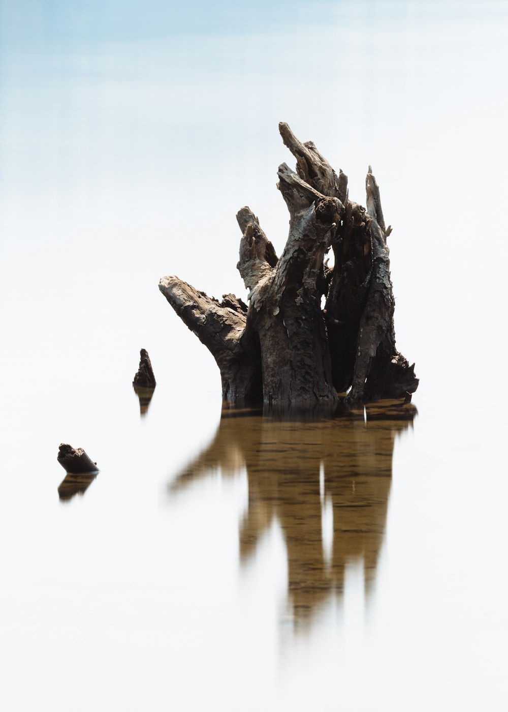 bûche de bois brun sur l’eau bodt