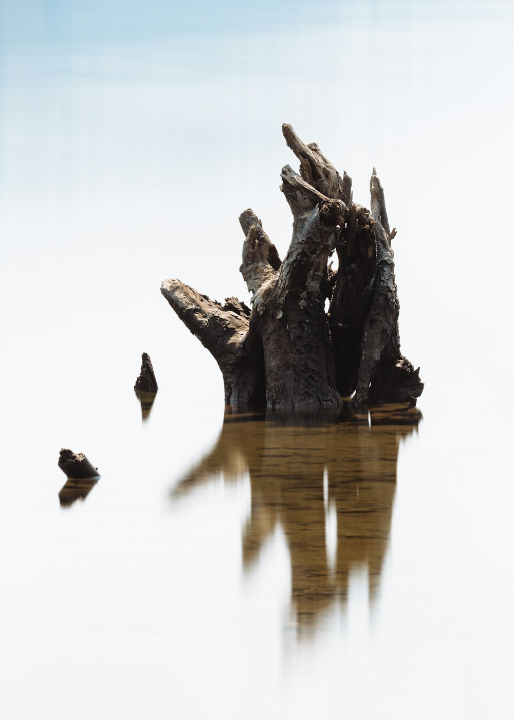 tronco di legno marrone sull'acqua di bodt