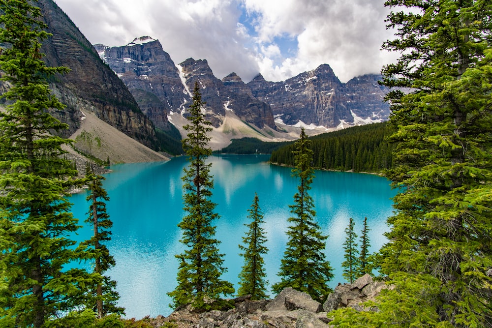 Lago, montagne e alberi