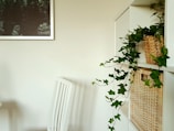 A cozy living room corner featuring minimalistic storage baskets and fresh plants.