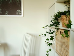A cozy, minimalistic home corner featuring neutral tones and greenery.