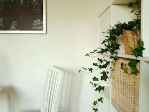 A minimalist bedroom corner featuring a small shelf with baskets and a calming plant.