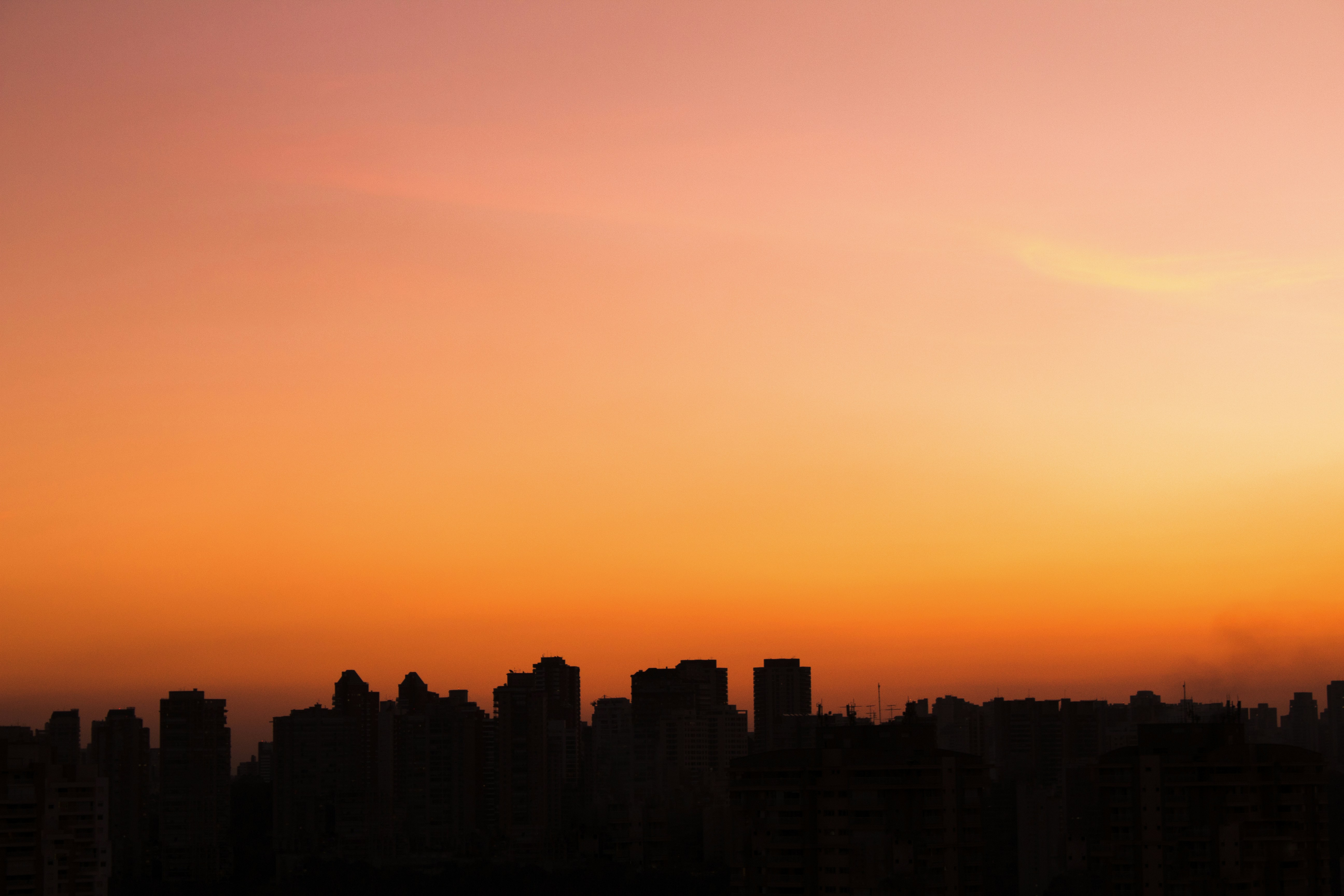 Photo by ricardo_utsumi