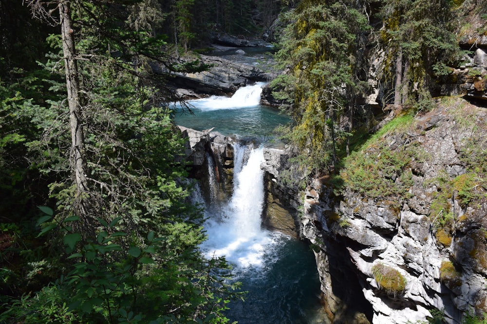 waterfalls near trees