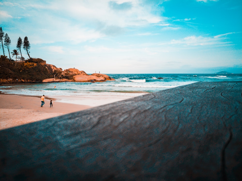 two person walking on seashore