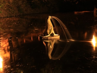 A peaceful pond scene with frogs croaking under a starry night sky.