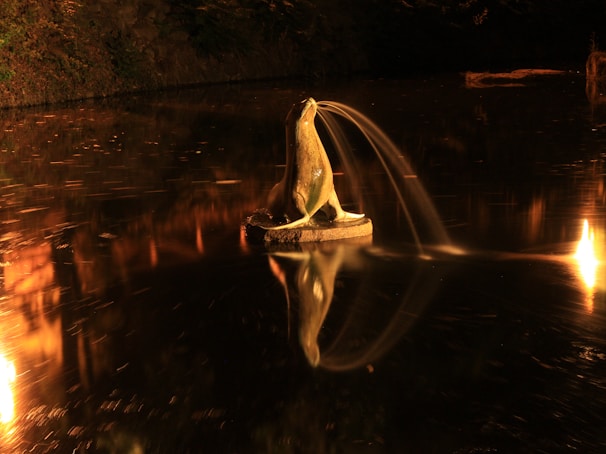 A peaceful pond scene with frogs croaking under a starry night sky.