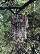 A collection of rosary beads, featuring numerous crosses and beads in various colors, hangs from the branch of a tree. The background is filled with lush green leaves, providing a serene natural setting.