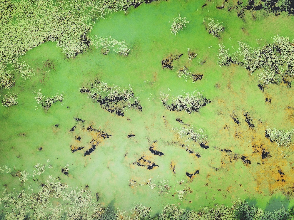 aerial view of body of water