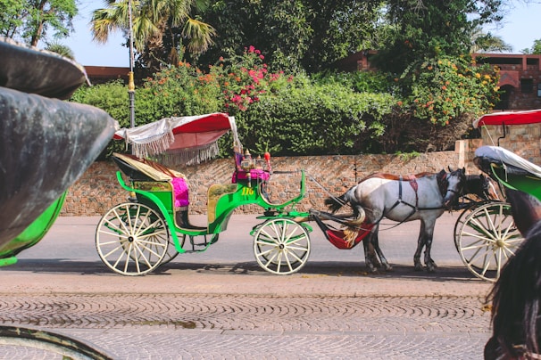 white horse with green carriage