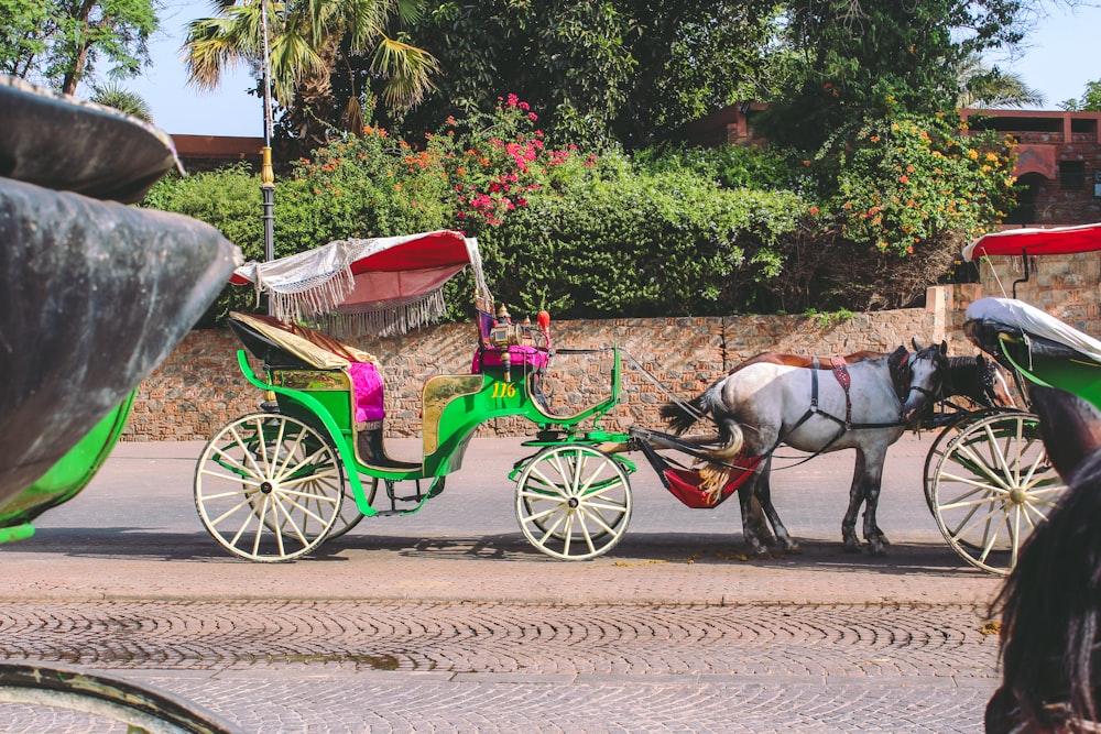 white horse with green carriage