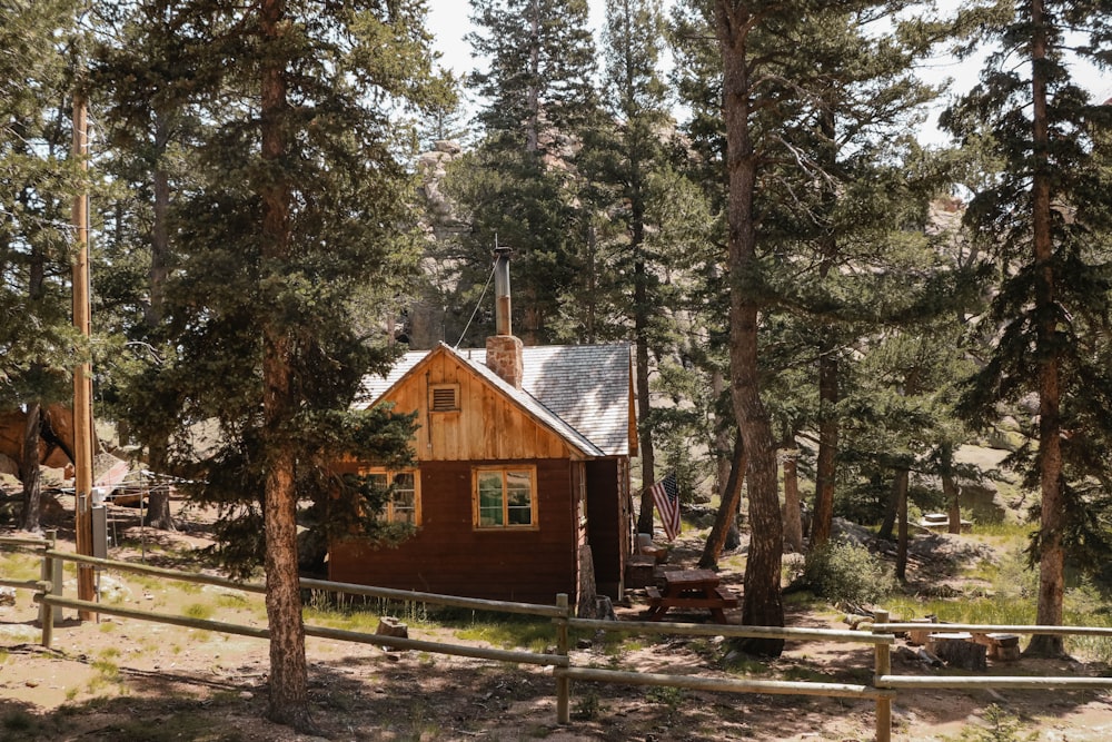 brown and white shack between trees