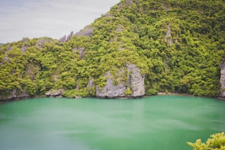 A serene natural lagoon with fine sand and lush greenery surrounding the water.