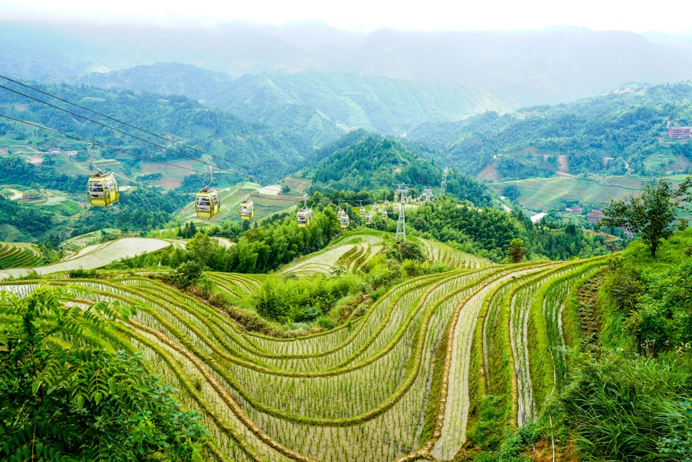 aerial photography of green stair fields surrounded with green mountains