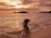 A happy traveler enjoying a beautiful beach sunset in Bali.