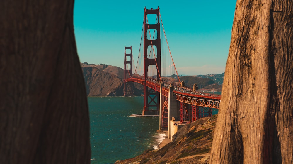 Golden Gate Bridge during daytime