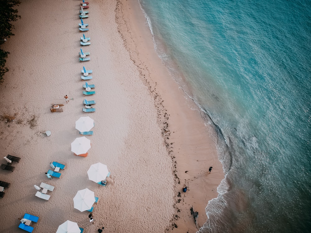 aerial photography of beach lounger on seashore