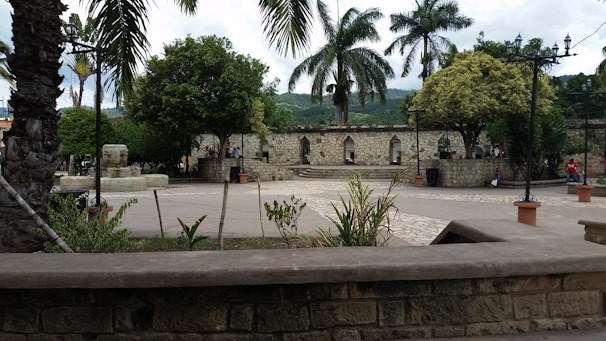 Peaceful courtyard area with stone benches and a small garden surrounded by green plants.