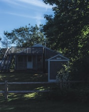 A cozy, newly built wooden house surrounded by green trees under a clear blue sky.