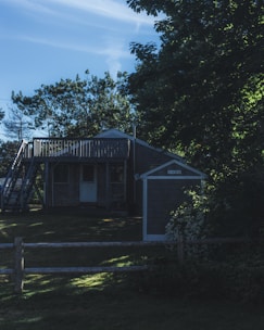A cozy two-story wooden house surrounded by tall pine trees under a clear blue sky.