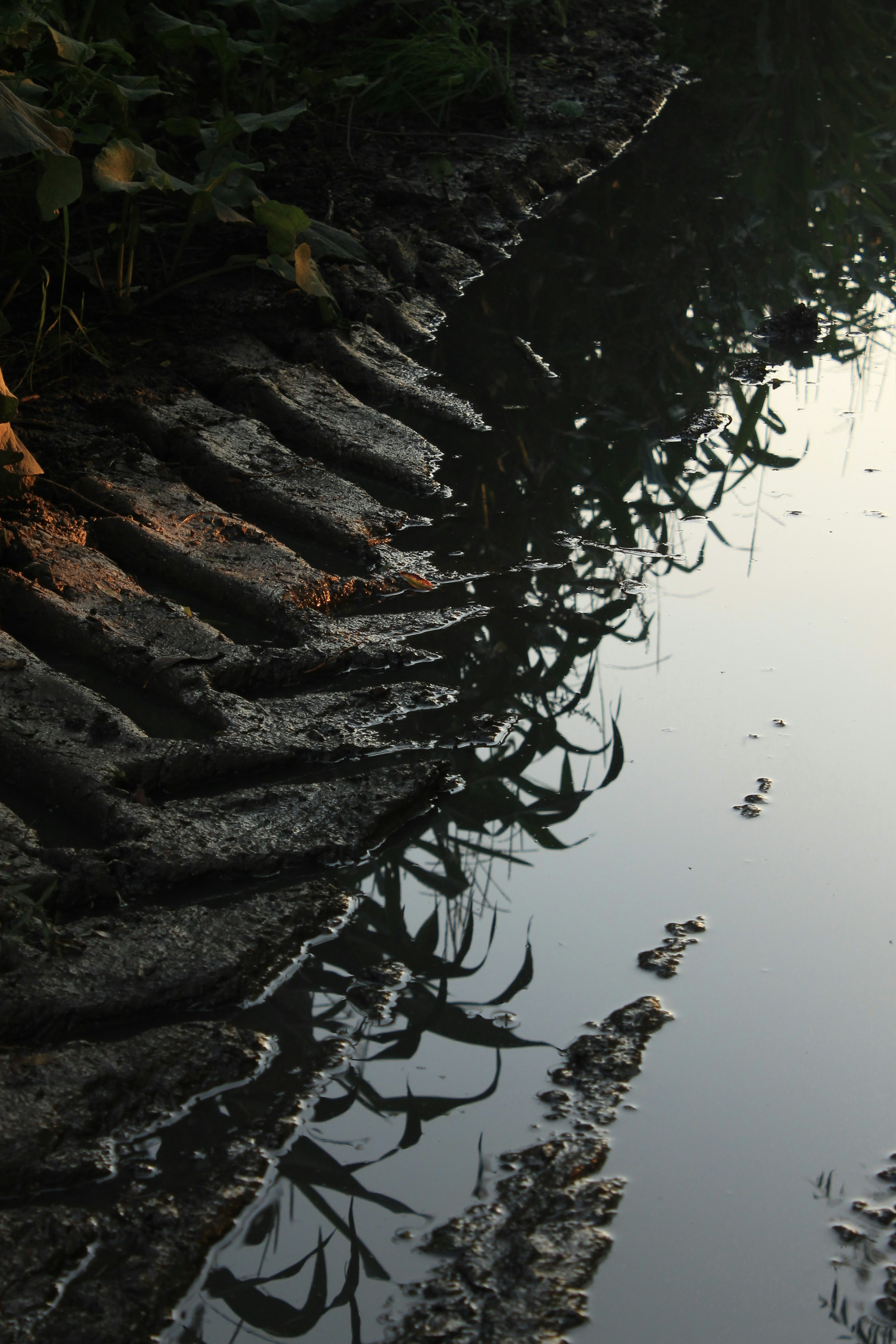 mud puddle photo – Free Przemyśl Image on Unsplash