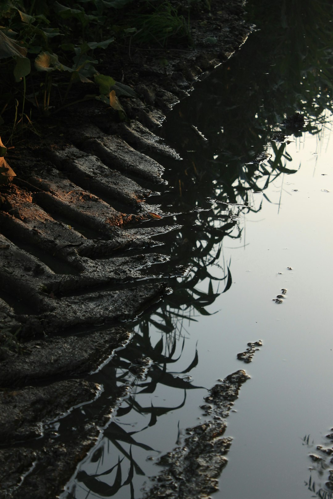 travelers stories about Watercourse in Przemyśl, Poland