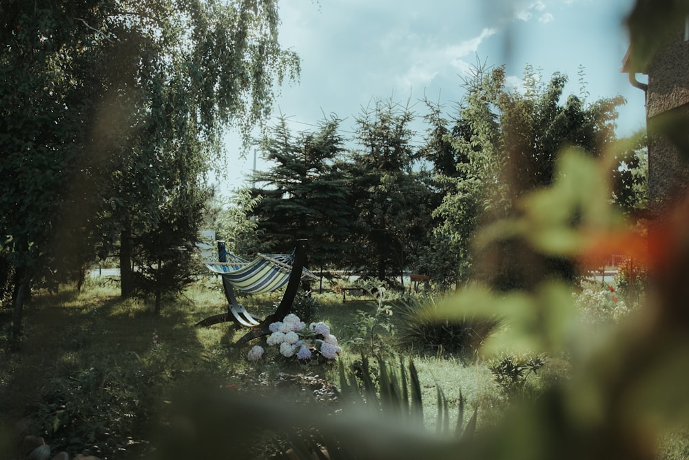 portable hammock beside flower