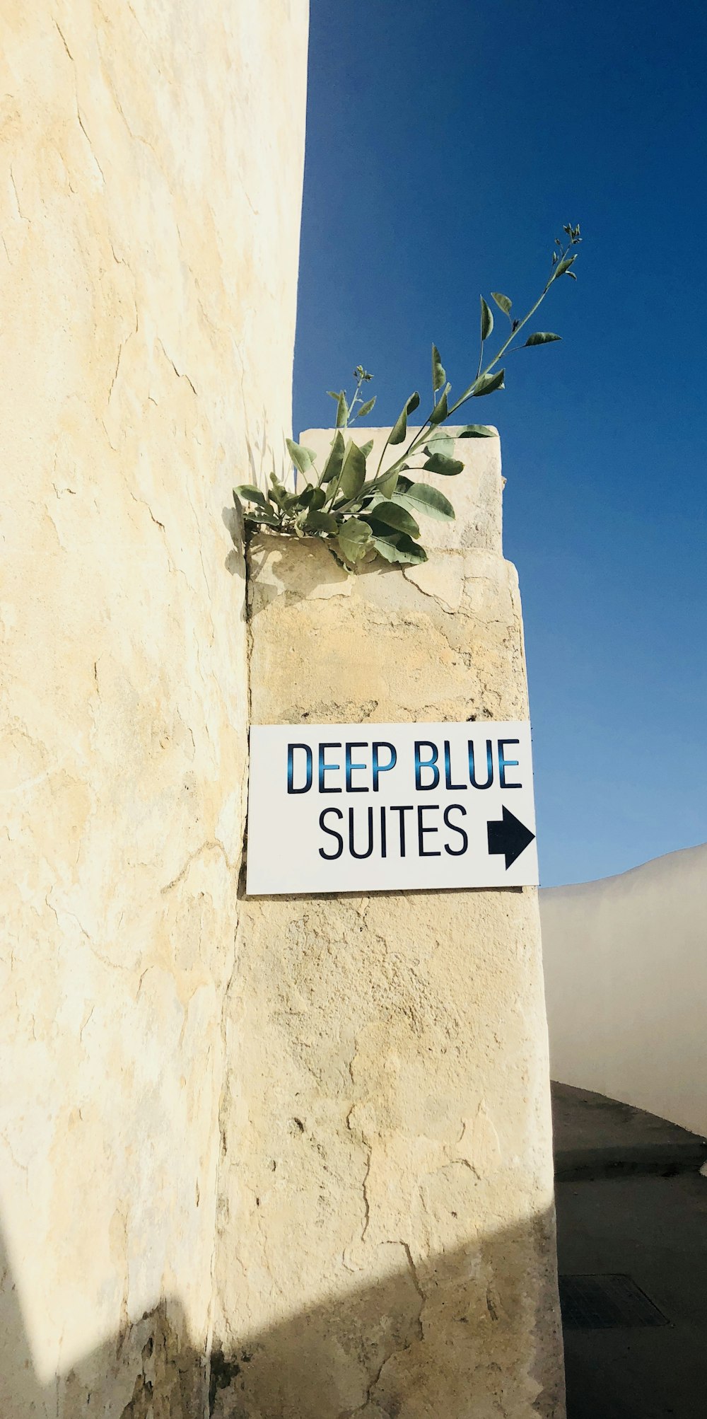 beige concrete wall with white and black signage