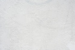 a black and white cat laying on top of a white wall