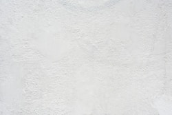 a black and white cat laying on top of a white wall