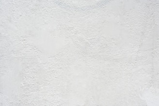 a black and white cat laying on top of a white wall