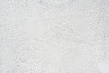 a black and white cat laying on top of a white wall