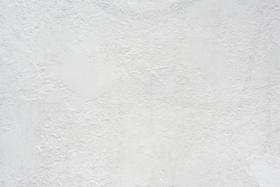 a black and white cat laying on top of a white wall