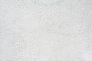 a black and white cat laying on top of a white wall