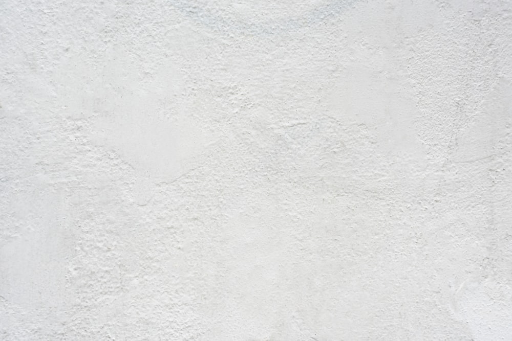 a black and white cat laying on top of a white wall