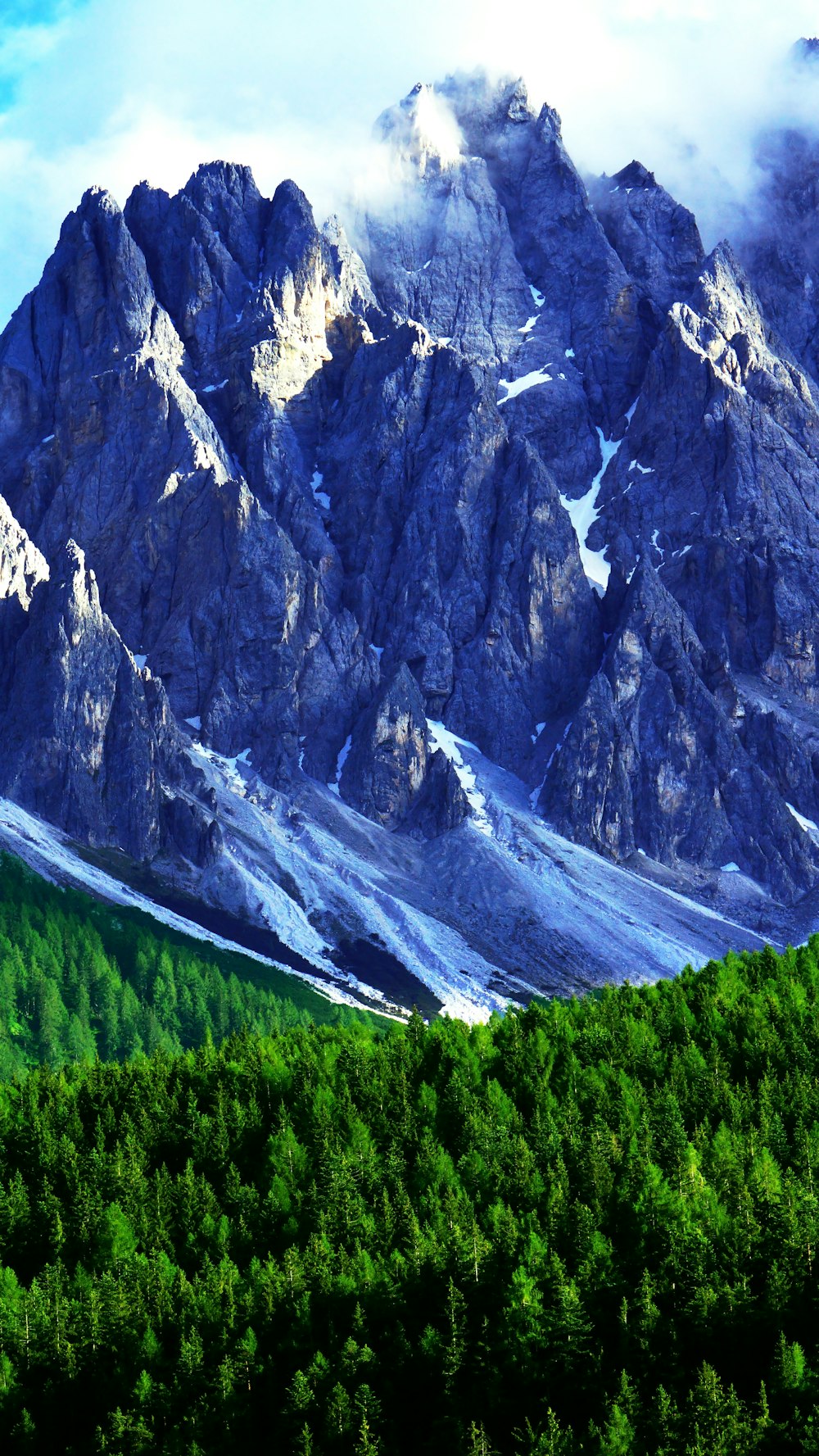 aerial photo of alpine mountain surrounded by trees