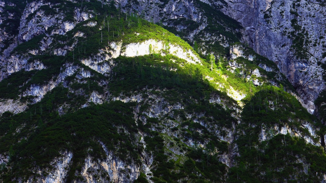 mossy rock formation