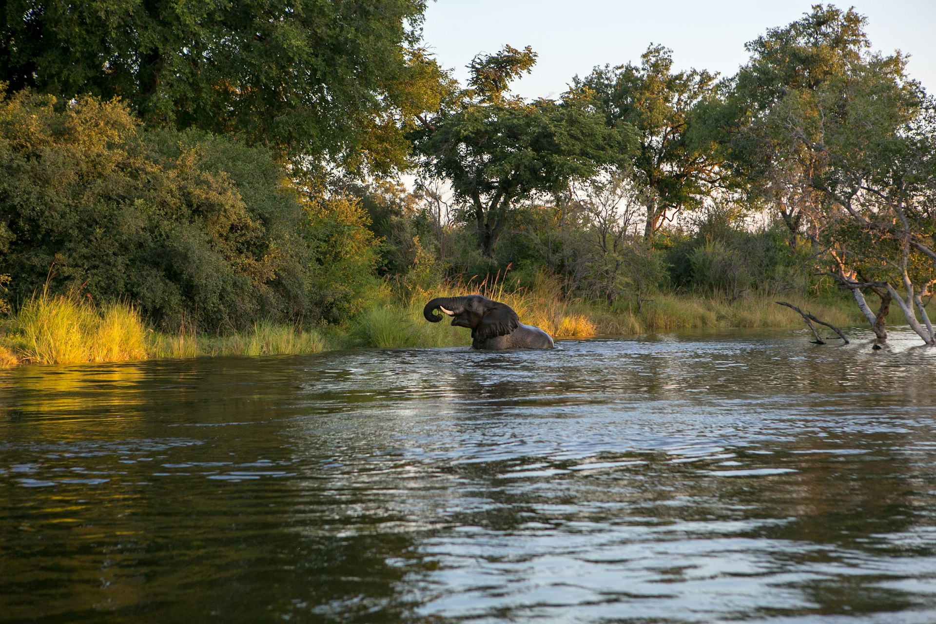 The Mighty Zambezi Guided Journey