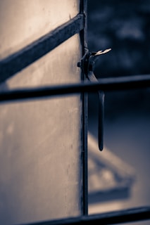 Decorative window latches in matte black finish on a white frame.