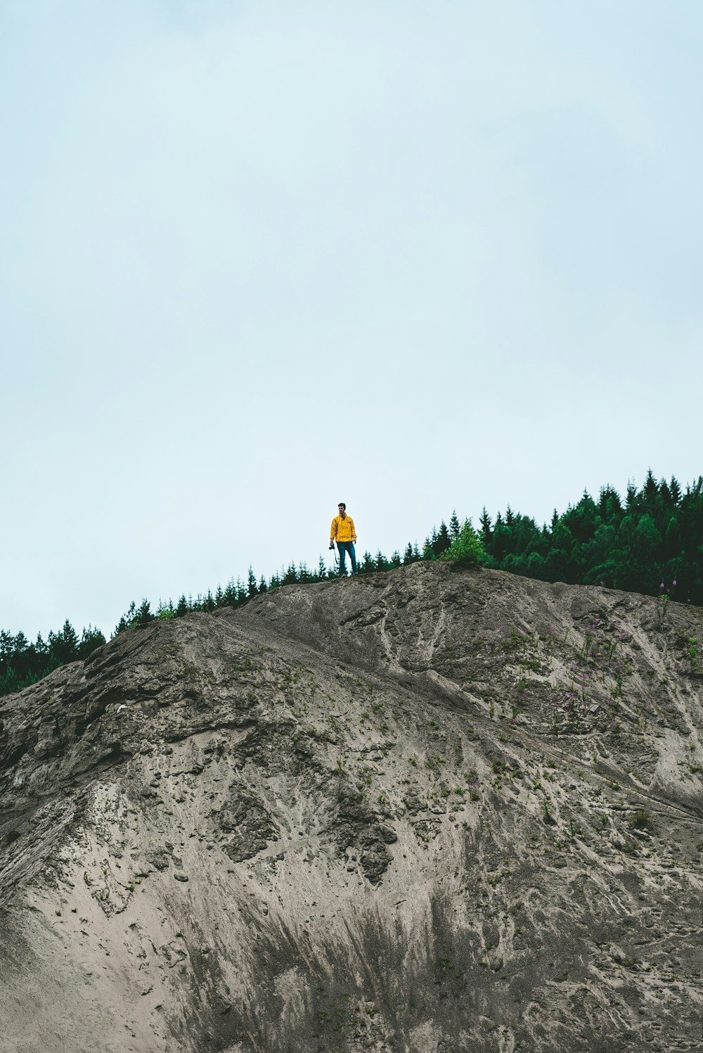 緑の木々の近くの岩層の上に立っている人