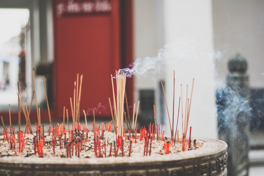incense sticks on top of gray ashes