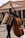 A street musician carries both an accordion and a double bass, standing in front of an ancient building with large columns and the inscription 'MAGRIPPAFECIT'. The scene is bustling with people in the background on a cobblestone path.