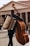 A street musician carries both an accordion and a double bass, standing in front of an ancient building with large columns and the inscription 'MAGRIPPAFECIT'. The scene is bustling with people in the background on a cobblestone path.