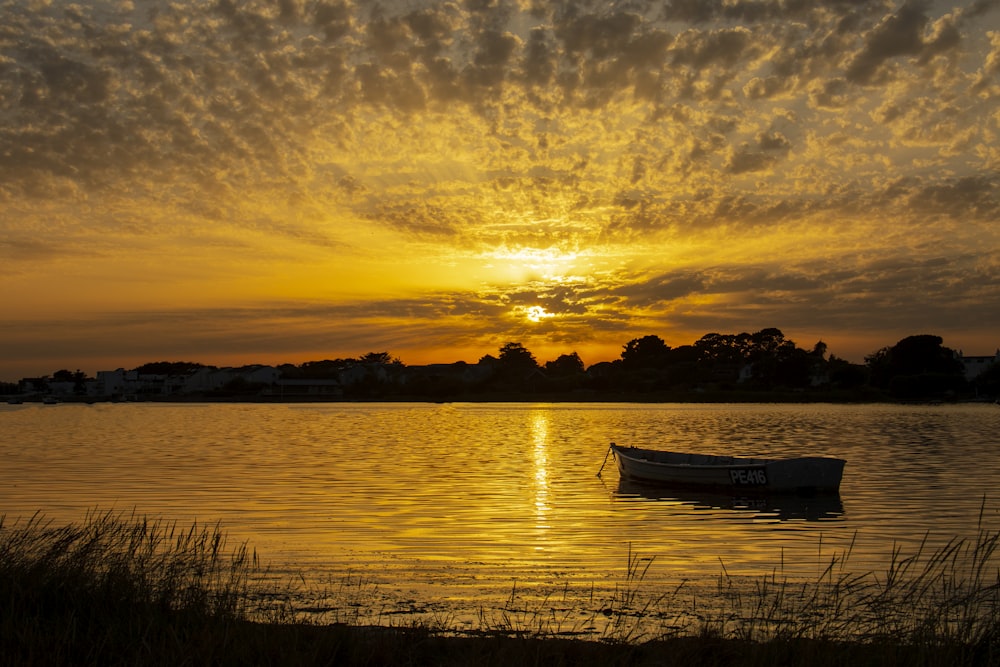 brown boat on body of water