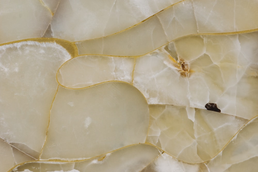 a close up of a marble wall with a bug on it