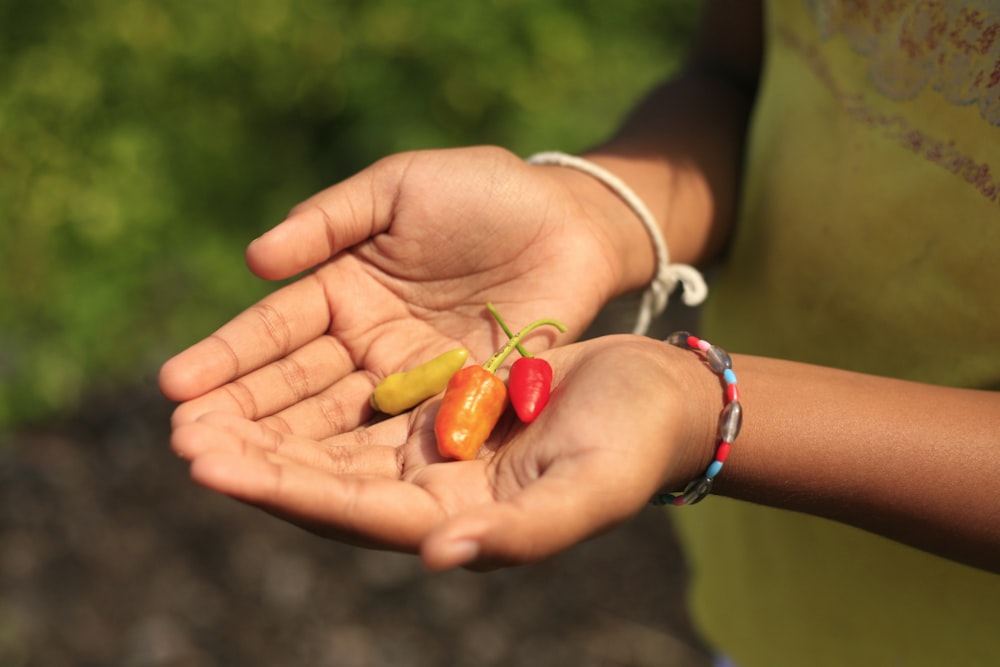 person holding peppers