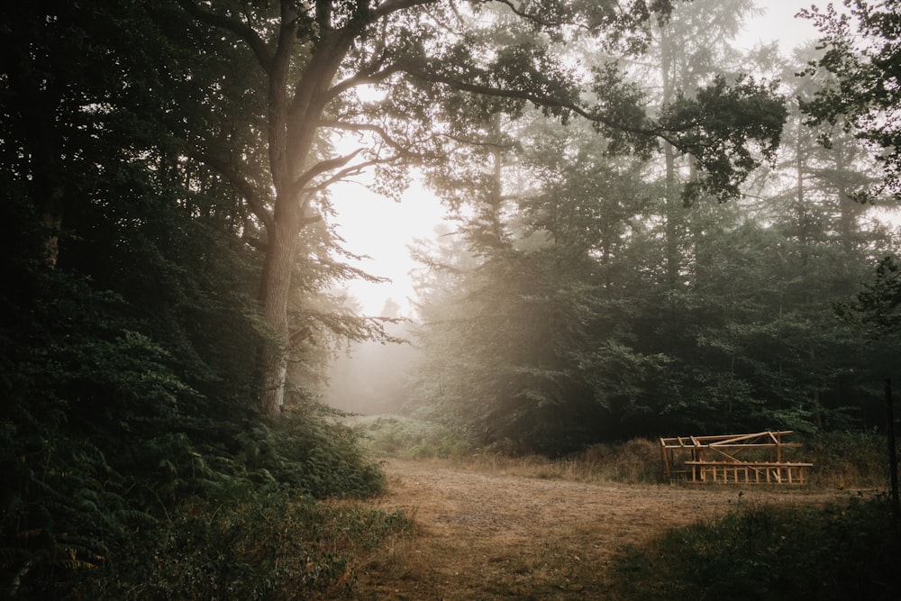 brown wooden frame near green trees